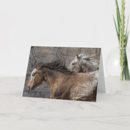 Wild Stallions: Galloping to Freedom Greeting Card Karte