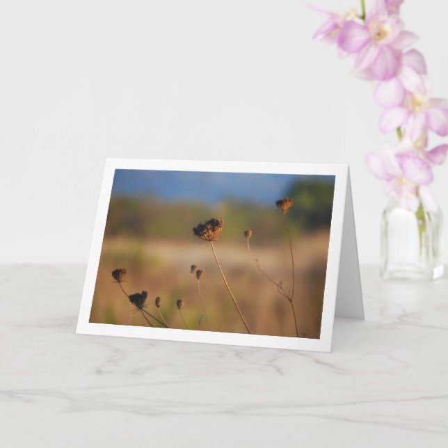 Wild sterbende Blume in der Landschaft der Feldwel Karte (Orchidee)