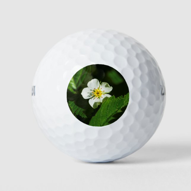 Wild Strawberry Blume Golfball (Vorderseite)