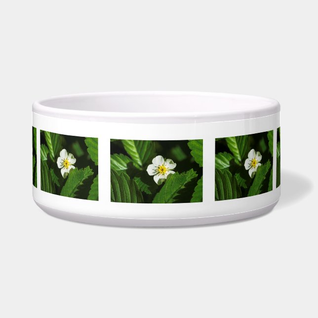 Wild Strawberry Blume Napf (Vorderseite)