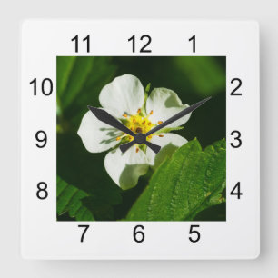 Wild Strawberry Blume Quadratische Wanduhr