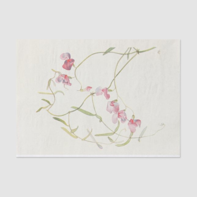 Wild Sweet Pea von Margaret Armstrong Seidenpapier (Vorderseite)