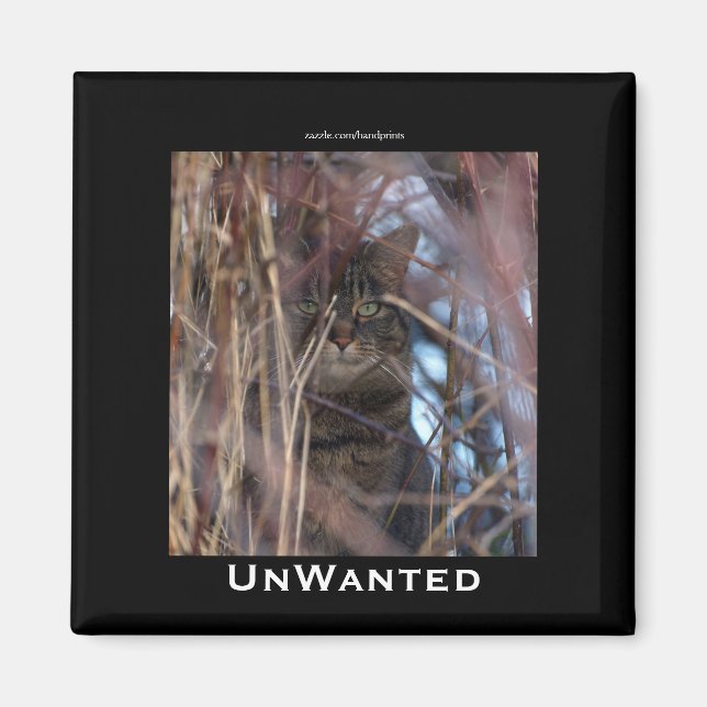 Wild Tabby Cat Demotivational Animal Magnet (Vorne)