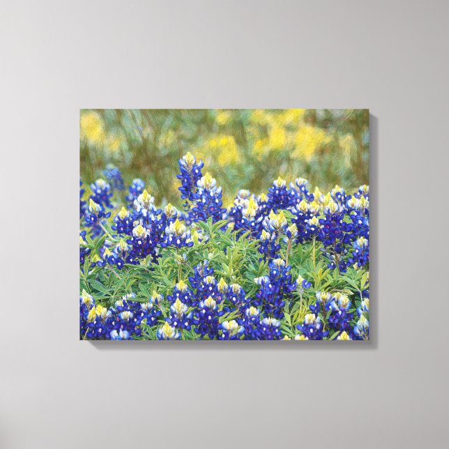 Wild Texas Bluebonnet Blume Leinwand Print (Vorderseite)