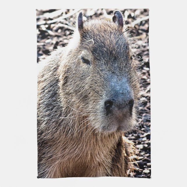 WILD TIERCAPYBARA GESCHIRRTUCH (Vertikal)