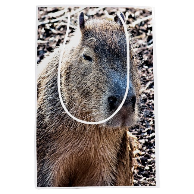 WILD TIERCAPYBARA MITTLERE GESCHENKTÜTE (Vorderseite)