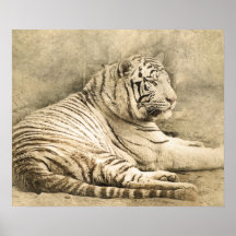 Wild Tiger Safari Jungle Artwork Foto Poster