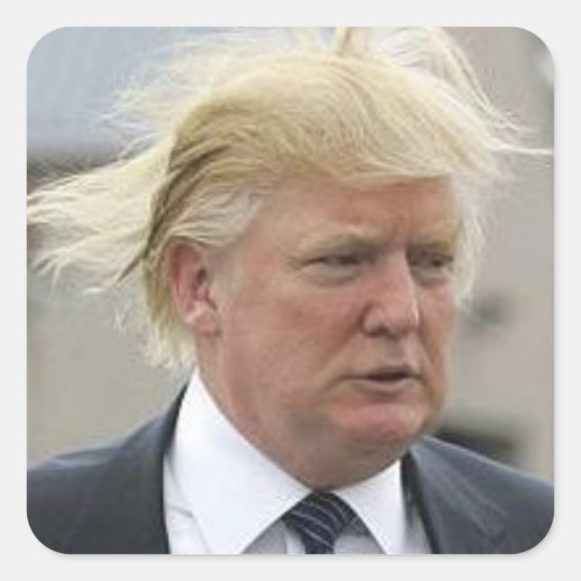 Wild Trump Hair Quadratischer Aufkleber (Vorderseite)