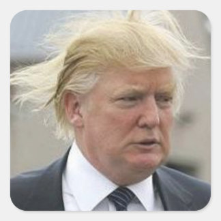 Wild Trump Hair Quadratischer Aufkleber