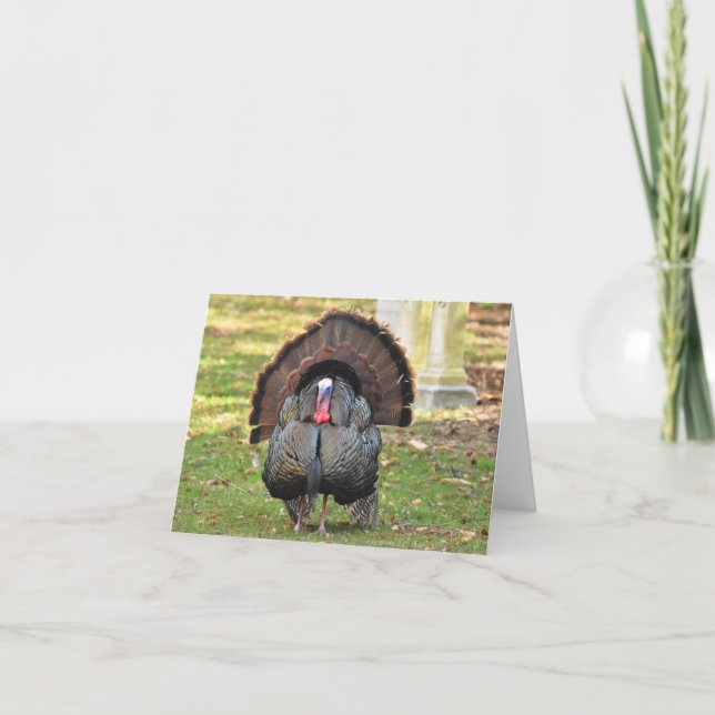Wild Turkey #1 - Blank Note Card Dankeskarte (Vorderseite)