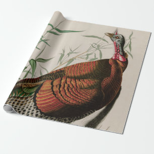 Wild Turkey Birds of America Audubon Print Geschenkpapier