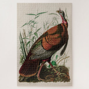Wild Turkey Birds of America Audubon Print Puzzle