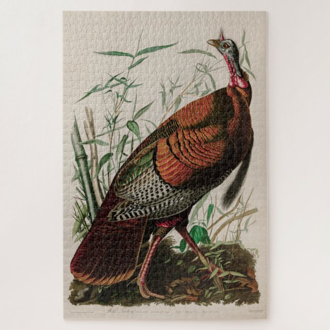 Wild Turkey Birds of America Audubon Print Puzzle (Vertikal)