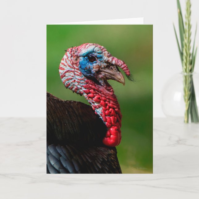Wild Turkey Dankeschön Card Dankeskarte (Vorderseite)