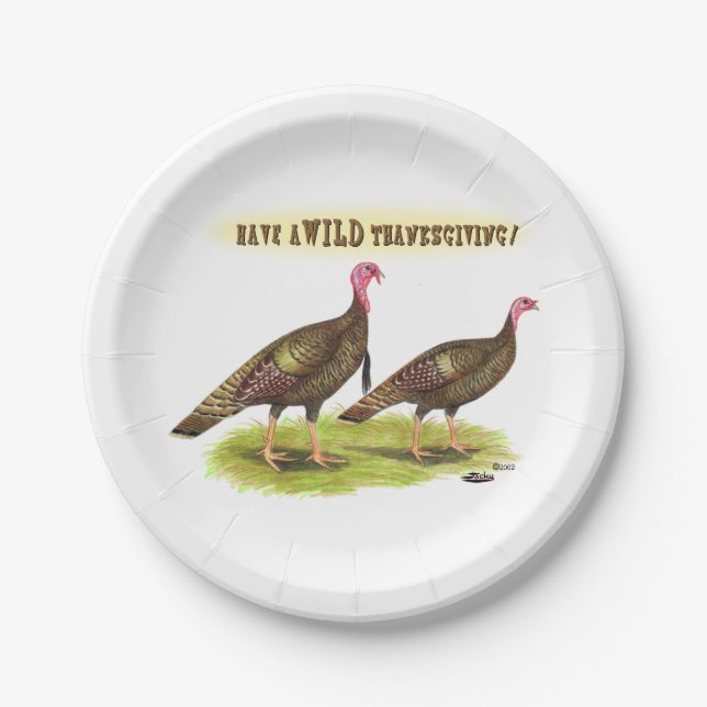 Wild-Turkey-Erntedank Pappteller (Vorderseite)
