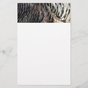 Wild Turkey Feathers I Abstrakt Nature Design Briefpapier