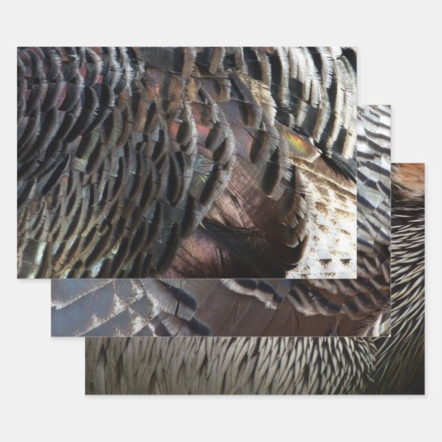 Wild Turkey Feathers I Abstrakt Nature Design Geschenkpapier Set (Set)