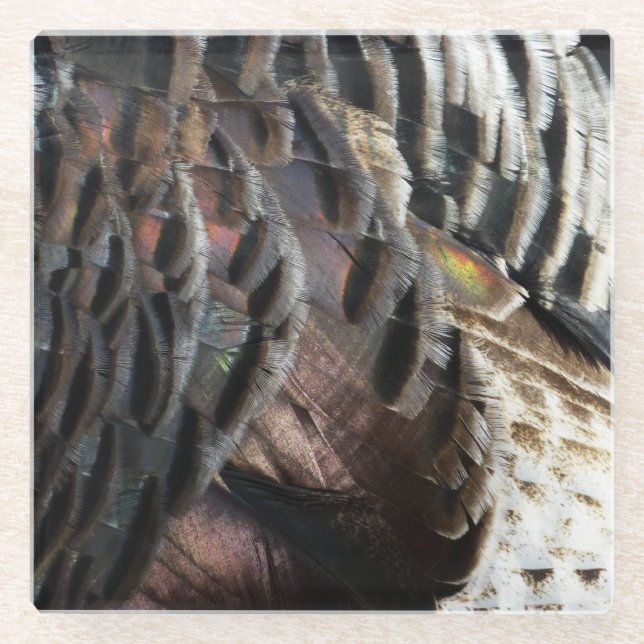 Wild Turkey Feathers I Abstrakt Nature Design Glasuntersetzer (Vorderseite)