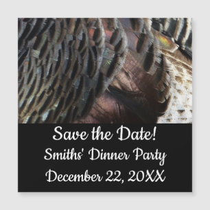 Wild Turkey Feathers I Abstrakt Nature Design Magnetkarte