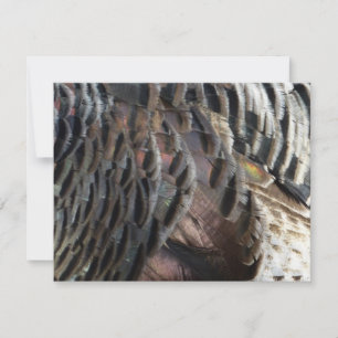 Wild Turkey Feathers I Abstrakt Nature Design Mitteilungskarte