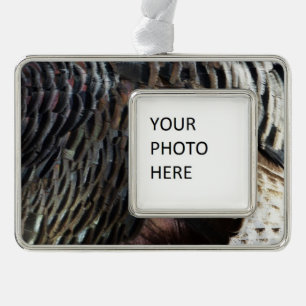 Wild Turkey Feathers I Abstrakt Nature Design Rahmen-Ornament Silber