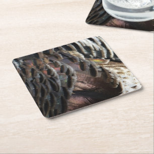 Wild Turkey Feathers I Abstrakt Nature Design Rechteckiger Pappuntersetzer