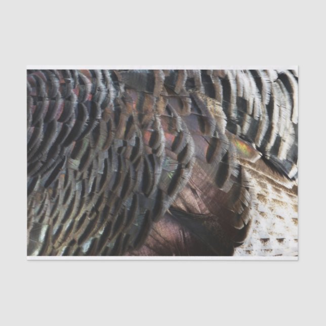 Wild Turkey Feathers I Abstrakt Nature Design Seidenpapier (Vorderseite)