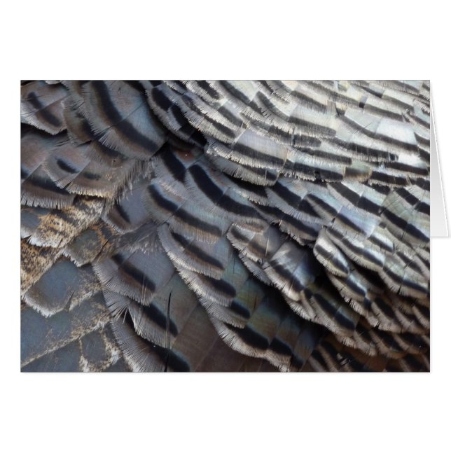Wild Turkey Feathers II Abstrakte Naturgestaltung (Vorderseite (Horizontal))