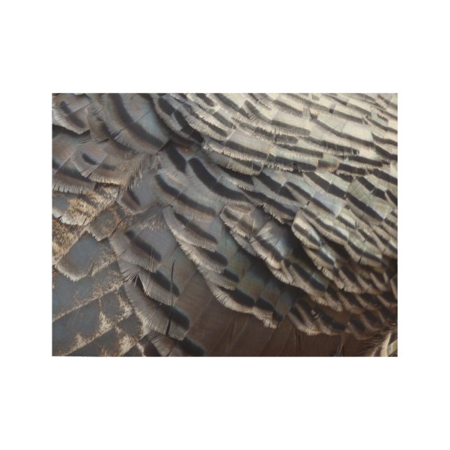 Wild Turkey Feathers II Abstrakte Naturgestaltung Holzposter (Vorderseite)