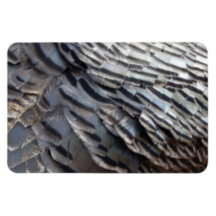 Wild Turkey Feathers II Abstrakte Naturgestaltung Magnet