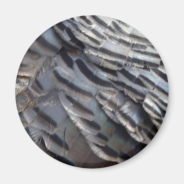 Wild Turkey Feathers II Abstrakte Naturgestaltung Magnet (Vorne)