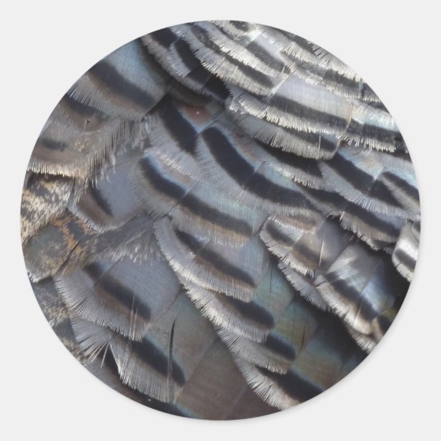 Wild Turkey Feathers II Abstrakte Naturgestaltung Runder Aufkleber (Vorderseite)