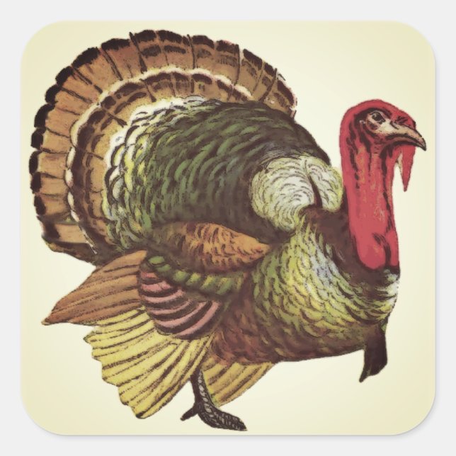 Wild Turkey Happy Thanksgiving Stickers (Vorderseite)