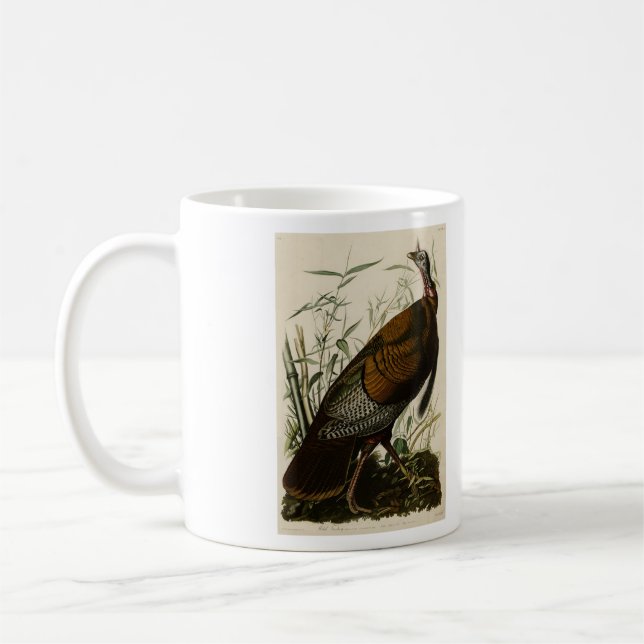 Wild Turkey (Male) from Audubon's Birds of America Kaffeetasse (Links)