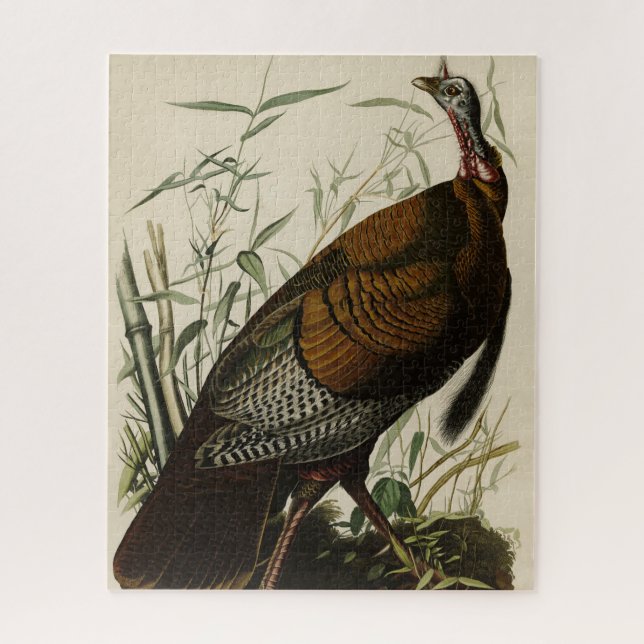 Wild Turkey (Male) from Audubon's Birds of America Puzzle (Vertikal)