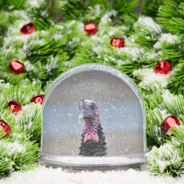 Wild Turkey Snow Globe Schneekugeln (Von Creator hochgeladen)