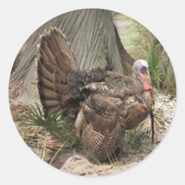 Wild Turkey Stickers
