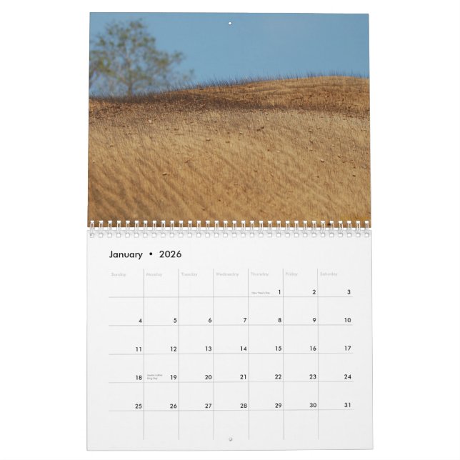 wild über Elefantkalender Kalender (Jan 2026)
