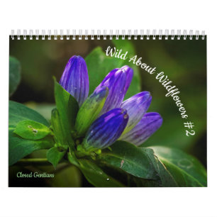 Wild über Wildblumen #2 Kalender