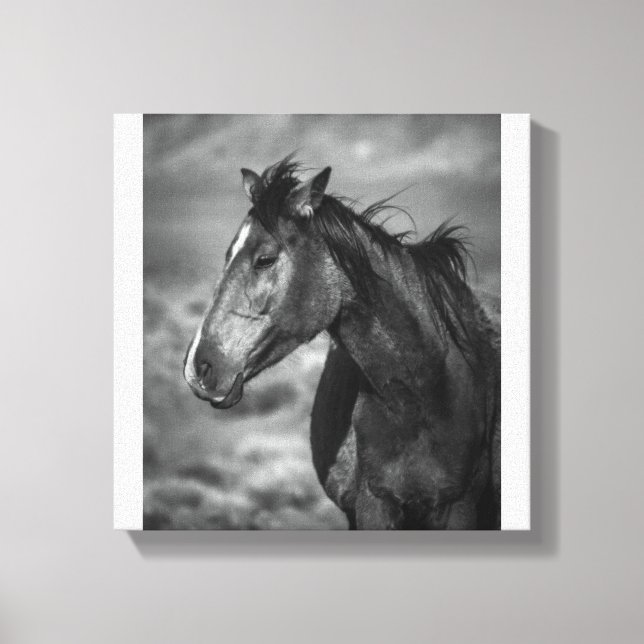 Wild und frei leinwanddruck (Vorderseite)