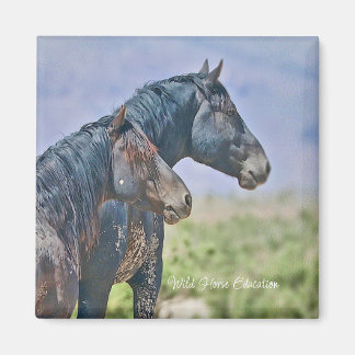 Wild und frei, Magnet