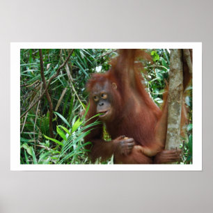 Wild Verabredet Werbung Poster