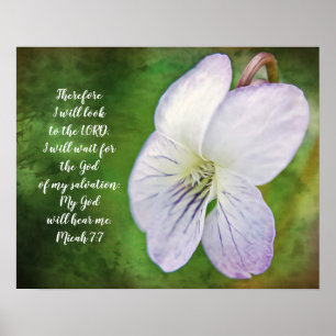 Wild Violet Blume Bible Scripting Poster