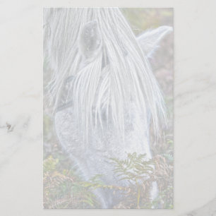 Wild Weiß New Forest Pony Weiden auf Bracken Briefpapier