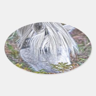 Wild Weiß New Forest Pony Weiden auf Bracken Ovaler Aufkleber