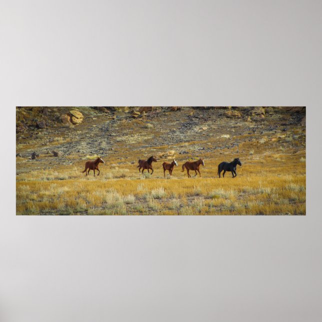 Wild West Poster (Vorne)