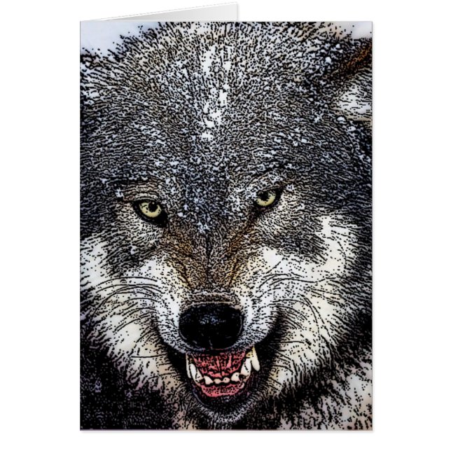 Wild Wolf (Vorne)