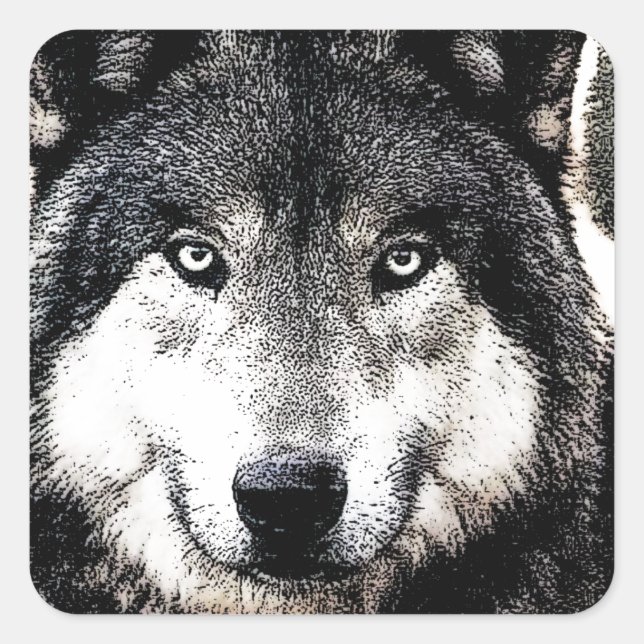 Wild Wolf Artwork Square Sticker (Vorderseite)