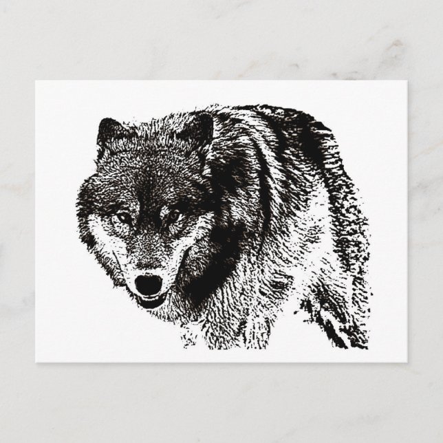 Wild Wolf Postkarte (Vorderseite)