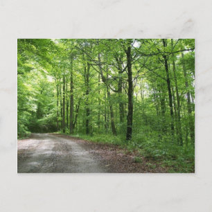Wild & Wonderfully Rustic! Postkarte